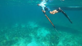 Spearfishing in the Keys  Saltwater Experience [upl. by Kamilah821]