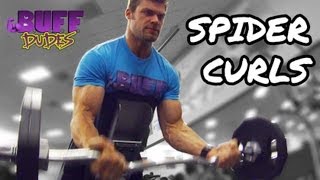 How to Perform Spider Curls  Big Biceps Arms Exercise [upl. by Gerri259]