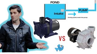 Submersible vs External Pond Pumps [upl. by Arual868]