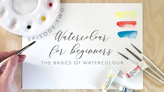 The Basics of Watercolour [upl. by Dillie]