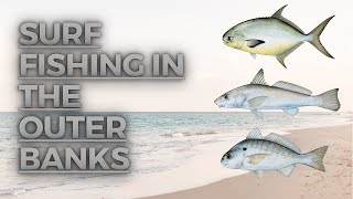 Surf Fishing in the Outer Banks [upl. by Ynahteb]