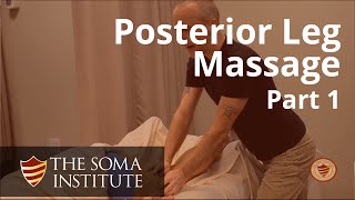 General Posterior Leg Protocol Beginning Massage Techniques Part 1 [upl. by Husha]