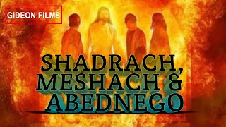 Shadrach Meshach and Abednego in the Fiery Furnace  The Image of Gold and the Blazing Furnace [upl. by Oralee]