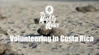 Volunteering in Costa Rica [upl. by Nac173]