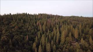 TWAIN HARTE CALIFORNIA DRONE FOOTAGE [upl. by Walls]