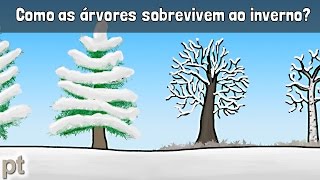 Como as árvores sobrevivem ao inverno  Minuto da Terra [upl. by Eninahpets663]