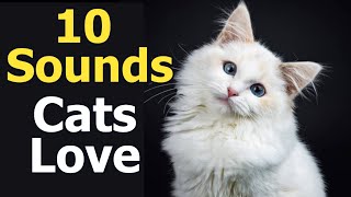 10 Sounds Cats Love To Hear The Most [upl. by Ansilma]