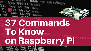 37 Commands you Need to Know on Raspberry Pi [upl. by Olecram]