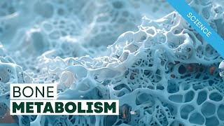 Vitamin K2 and Bone Metabolism [upl. by Rockel]