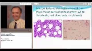 Aplastic Anemia 101 Understanding the Basics [upl. by Prochora]