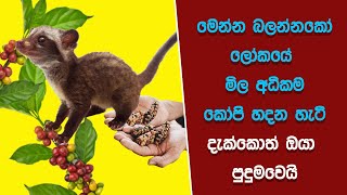 මේවා නොදකින දෑස කුමටද  EP14 [upl. by Ennahtur]