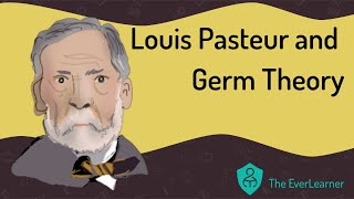 Louis Pasteur and Germ Theory [upl. by Annavoj707]