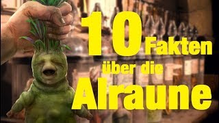 10 FAKTEN über die ALRAUNE 🌿 [upl. by Winchester]