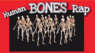 Human Bones Song 🎵  EASY amp FUN Way to Memorize the Bones of the Body FUNdamental RAPS Anatomy [upl. by Airet]