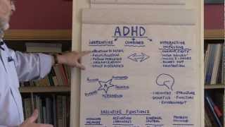 What Is ADHD [upl. by Aracahs]