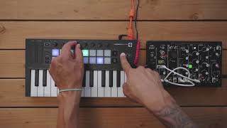 Arpeggiator  Launchkey Mini  Novation [upl. by Phares]