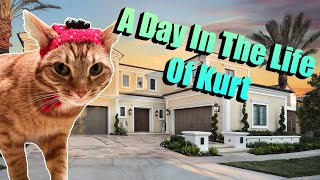 A Day in the Life of Kurt the Cat [upl. by Ymereg]