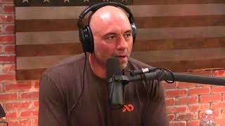 Joe Rogan on the MMA vs Boxing Debate [upl. by Martella]