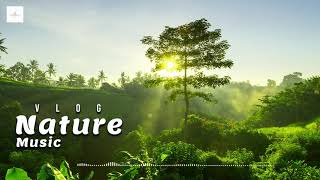 Nature Music Vlog Vlog No Copyright Music [upl. by Wilhelm]