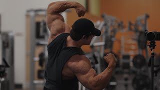 IFBB Pro Arm Workout [upl. by Nhar]