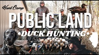 PUBLIC LAND Duck Hunting  ILLINOIS [upl. by Ateiluj214]