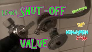 Leaking ShutOff Valve FIX [upl. by Airb110]