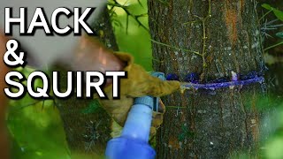 How To Kill Unwanted Trees  Hack and Squirt [upl. by Beora]