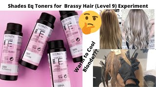 Shades Eq Toners for Brassy Hair Level 9 Experiment [upl. by Aleece509]