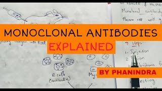 Blood Banking Antibody Identification Panel Interpretation Part 1 [upl. by Toll]