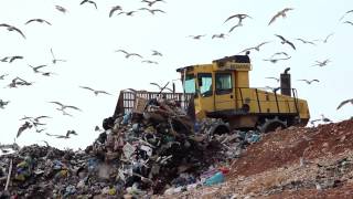 Landfill facts and statistics  A global problem [upl. by Prosser]