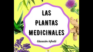 Las plantas medicinales en Educación Infantil [upl. by Annot]