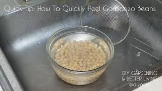 Quick Tip How To Quickly Peel Garbanzo Beans [upl. by Nylynnej]