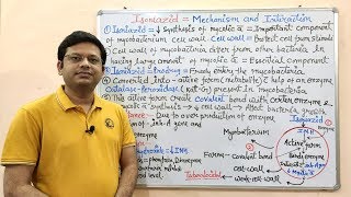 Antitubercular Drug Part03 Isoniazid  Mechanism of Action of Isoniazid  Isoniazid  Anti TB [upl. by Conti]