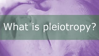 What is Pleiotropy [upl. by Shoshana]