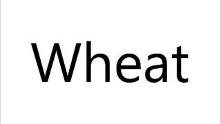 How to Pronounce Wheat [upl. by Gonsalve216]