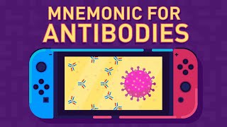 Antibodies  Immunoglobulins Structure amp Function  Part 1 [upl. by Silverts]