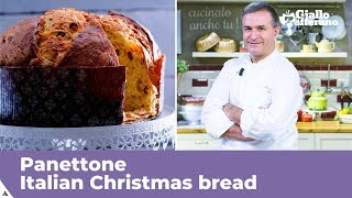 PANETTONE Italian Christmas bread traditional recipe [upl. by Vanzant]