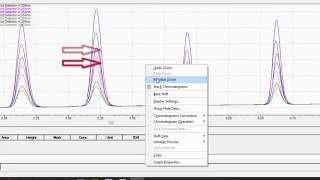 LabSolutions LCGC Workstation Basic Data Analysis [upl. by Ayerim]