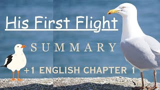 His First Flight Summary  Class 11 English chapter 1 [upl. by Darice]