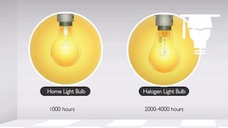 Incandescent and Halogen Lamps [upl. by Garland]