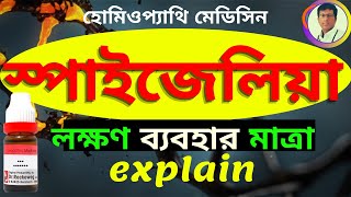 SPIGEALIA 30 HOMEOPATHIC MEDICINE USES IN BENGALI স্পাইজেলিয়া [upl. by Milone]