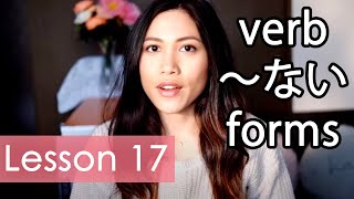 Learn Japanese  Minna No Nihongo Lesson 17 Grammar [upl. by Kopp698]