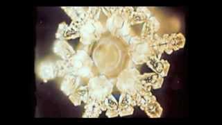 Masaru Emoto  Water Experiments [upl. by Mckinney]