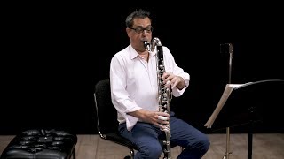 Instrument Bass Clarinet In Depth [upl. by Aicirtel]