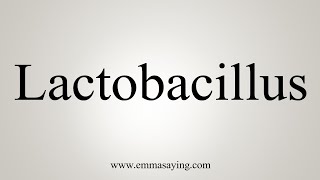 How To Say Lactobacillus [upl. by Eiffe853]