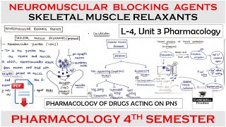 Neuromuscular Blocking Agents and Skeletal Muscle Relaxants  L4 U3  Pharmacology 4th semester [upl. by Assiral283]