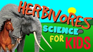 What is a Herbivore  Science for Kids [upl. by Aurore]