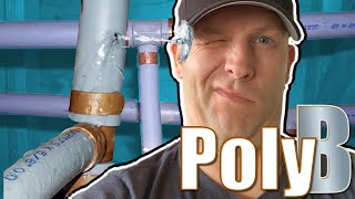 Poly B Plumbing  Everything You Need To Know When Buying A House With Polybutylene Piping [upl. by Legnalos815]