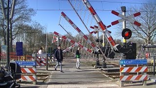 Spoorwegovergang Waddinxveen  Dutch railroad crossing [upl. by Otrebmuh777]