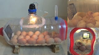 How To Make a Home Incubator Simple And Easy  جعل حاضنة المنزل بسيطة وسهلة [upl. by Sosthenna923]